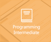 Programming Intermediate