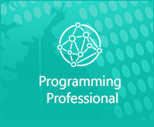 Programming Professional
