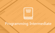 Programming Intermediate